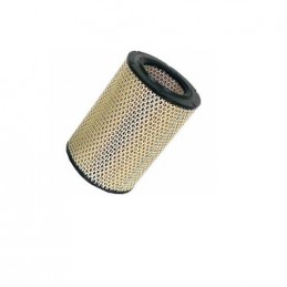 FILTRO AIRE HK (C14179-FT)
